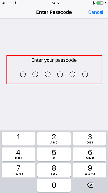 Enter your Apple ID password