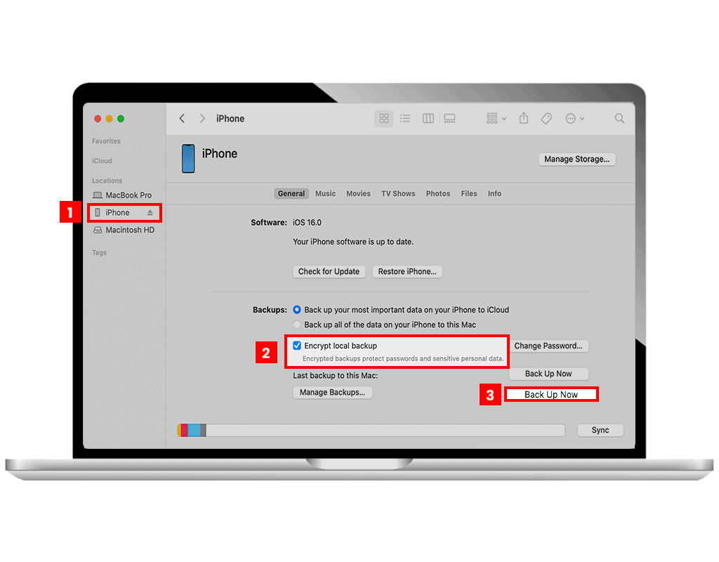 Steps on how to backup files on iPad using Finder on Mac