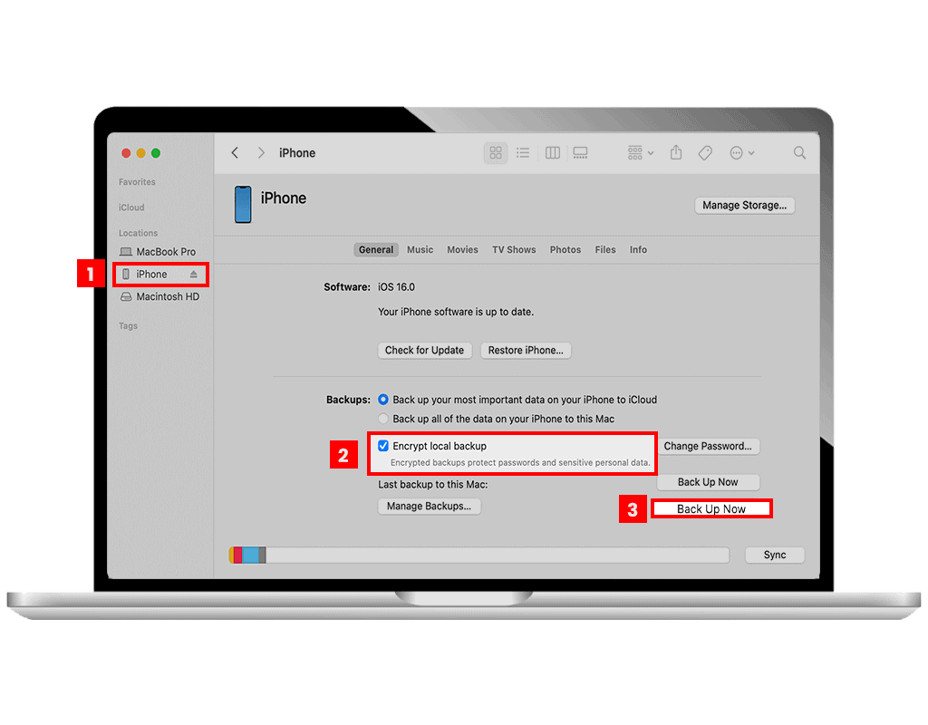 Steps on how to backup files on iPad using Finder on Mac