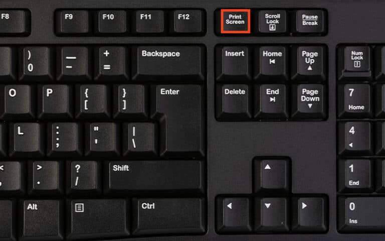 Guide: How To Screenshot on Windows 10 and 11