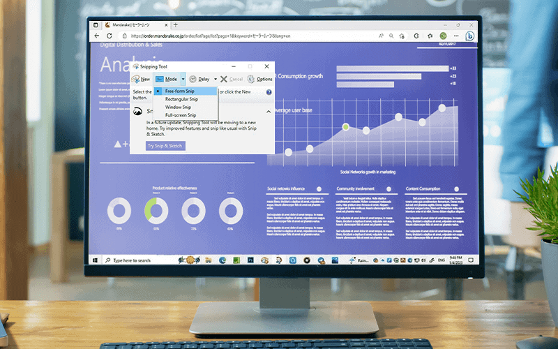 options for snipping tool