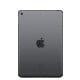 iPad Mini 5 (2019) back image