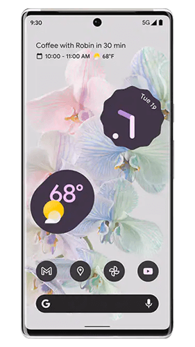 See Google Pixel 6 Pro prices