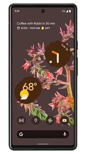 See Google Pixel 6 prices