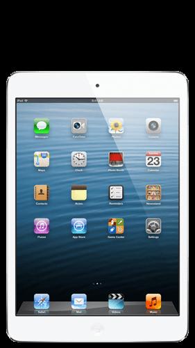 iPad Mini Front View