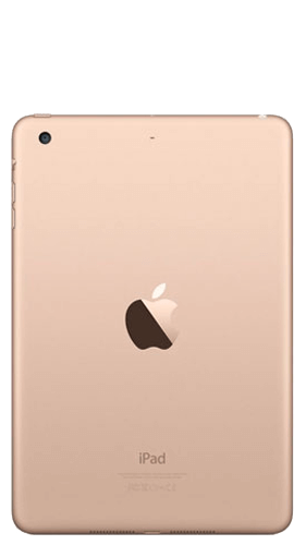 iPad Mini 3 Back View